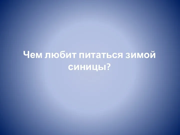 Чем любит питаться зимой синицы?