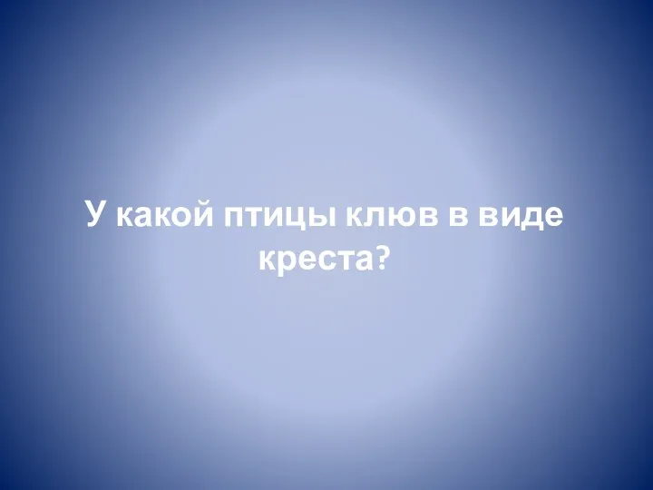 У какой птицы клюв в виде креста?