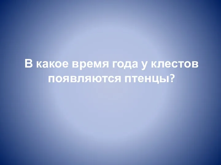 В какое время года у клестов появляются птенцы?