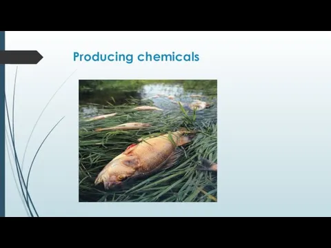 Producing chemicals