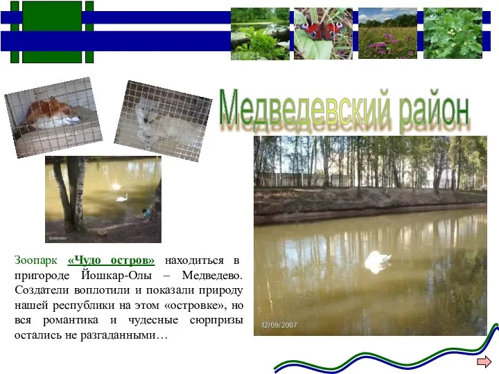 Медведевский район Зоопарк «Чудо остров» находиться в пригороде Йошкар-Олы –