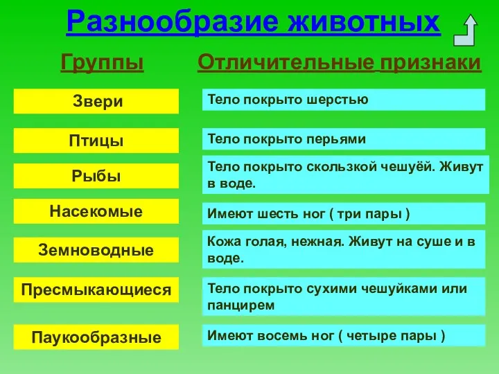 Разнообразие животных Группы Отличительные признаки Звери Птицы Рыбы Насекомые Земноводные Пресмыкающиеся Паукообразные Тело