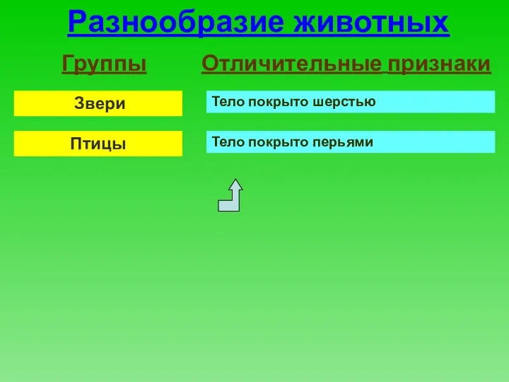 Разнообразие животных Группы Отличительные признаки Звери Птицы Тело покрыто шерстью Тело покрыто перьями