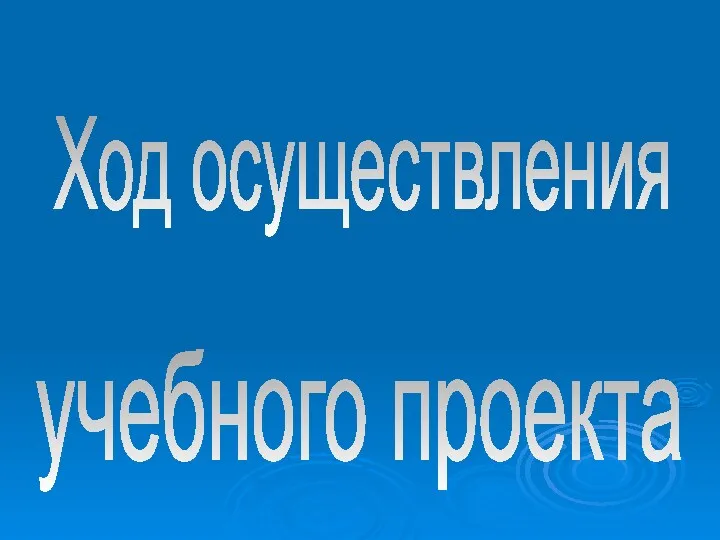 Ход осуществления учебного проекта