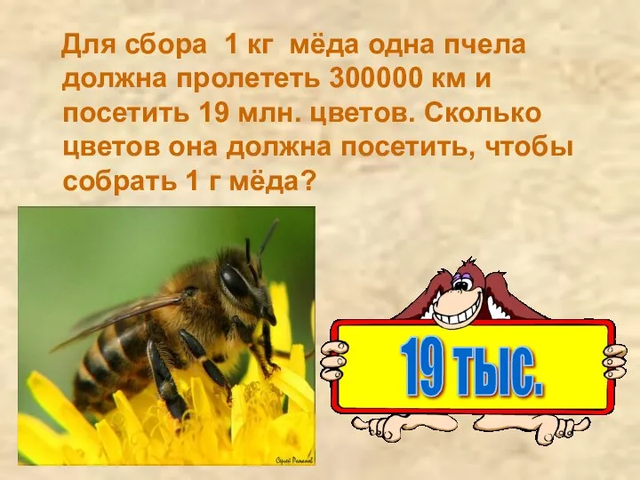 Для сбора 1 кг мёда одна пчела должна пролететь 300000 км и посетить