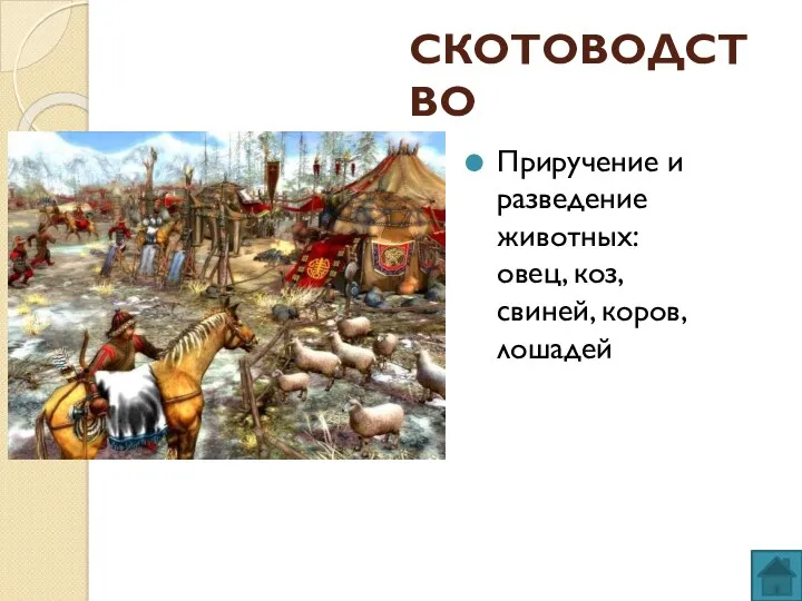 СКОТОВОДСТВО Приручение и разведение животных: овец, коз, свиней, коров, лошадей