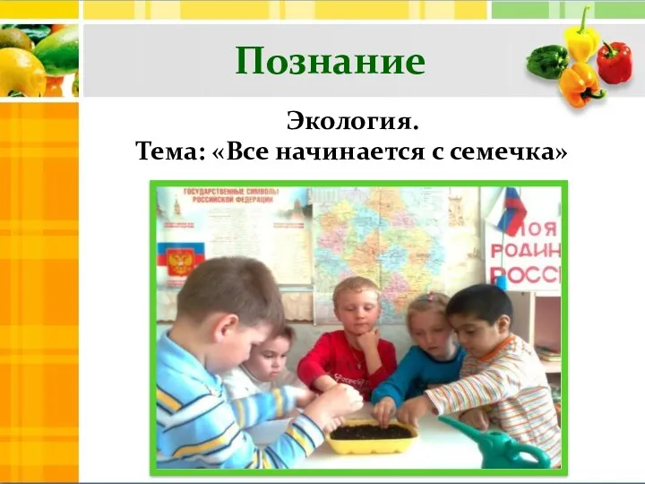 Познание Экология. Тема: «Все начинается с семечка»