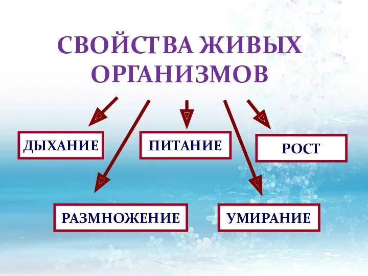 ДЫХАНИЕ ПИТАНИЕ РОСТ РАЗМНОЖЕНИЕ УМИРАНИЕ СВОЙСТВА ЖИВЫХ ОРГАНИЗМОВ