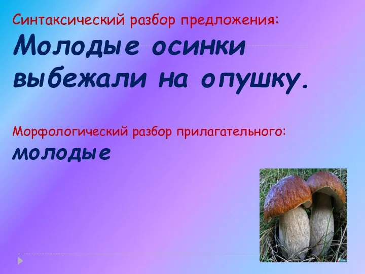 Синтаксический разбор предложения: Молодые осинки выбежали на опушку. Морфологический разбор прилагательного: молодые