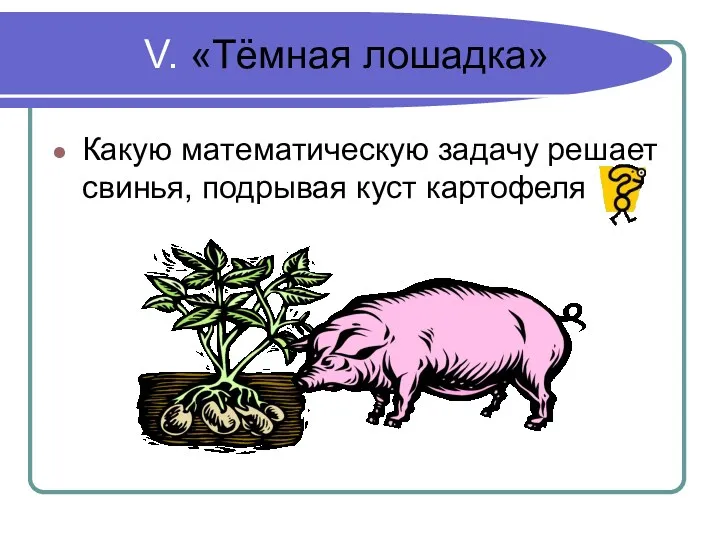 V. «Тёмная лошадка» Какую математическую задачу решает свинья, подрывая куст картофеля