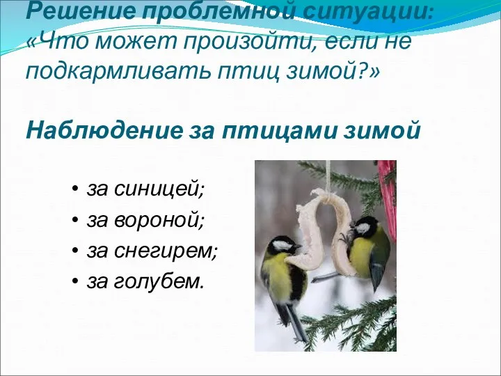 Решение проблемной ситуации: «Что может произойти, если не подкармливать птиц