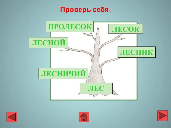 Проверь себя: ЛЕСНИК ЛЕС К ЛЕСОК ПРОЛЕСОК ЛЕСНОЙ ЛЕСНИЧИЙ