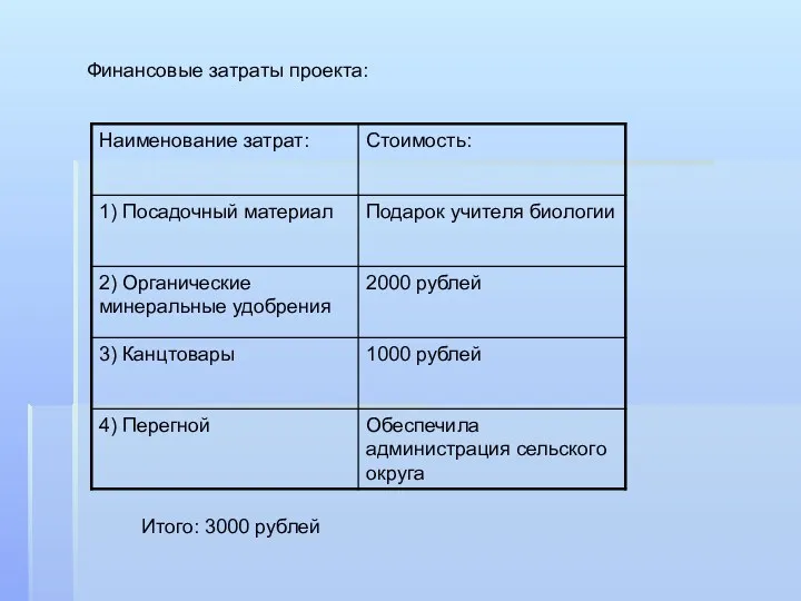 Финансовые затраты проекта: Итого: 3000 рублей