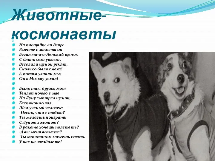 Животные-космонавты На площадке во дворе Вместе с малышами Бегал ма-а-а-Ленький