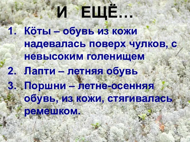 И ЕЩЁ… Кöты – обувь из кожи надевалась поверх чулков, с невысоким голенищем