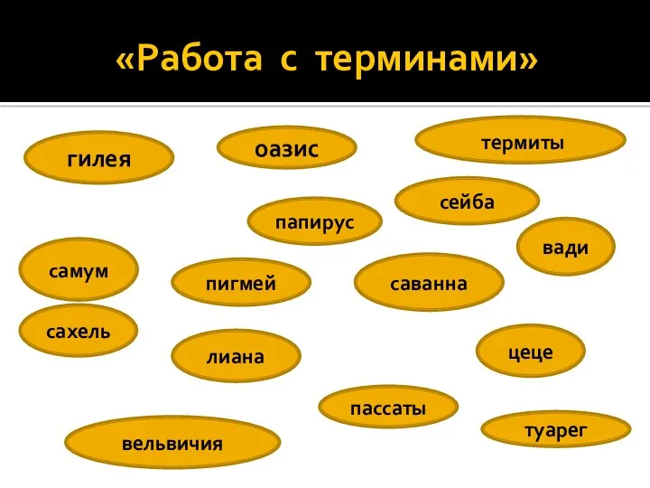 «Работа с терминами» сейба термиты оазис пигмей гилея самум вельвичия