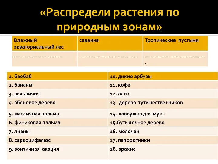 «Распредели растения по природным зонам»