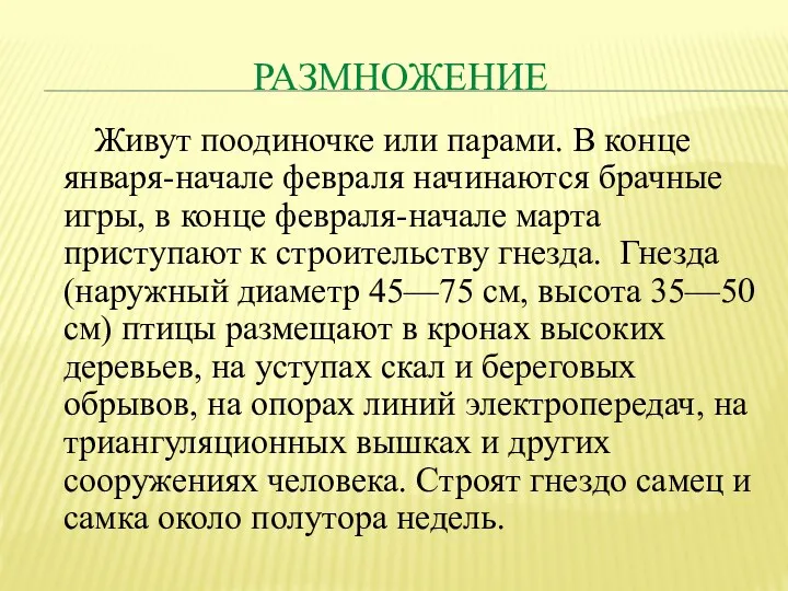 Размножение Живут поодиночке или парами. В конце января-начале февраля начинаются