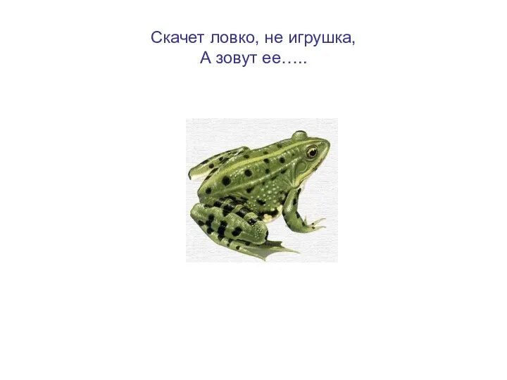 Скачет ловко, не игрушка, А зовут ее…..