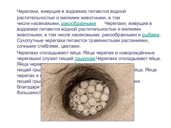 Черепахи, живущие в водоемах питаются водной растительностью и мелкими животными,