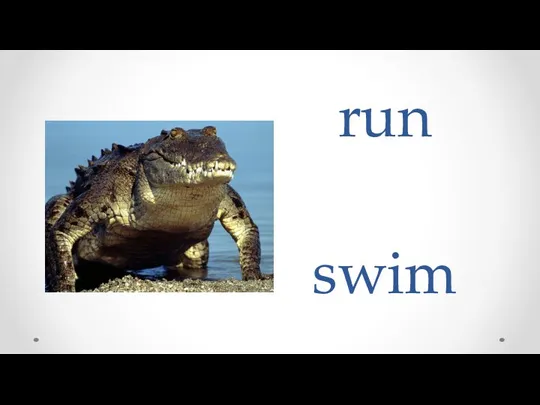 run swim