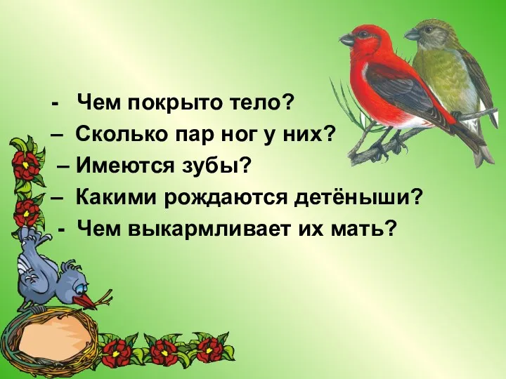 - Чем покрыто тело? – Сколько пар ног у них?