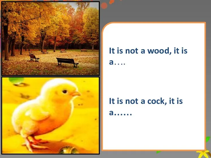 It is not a wood, it is a…. It is not a cock, it is a……