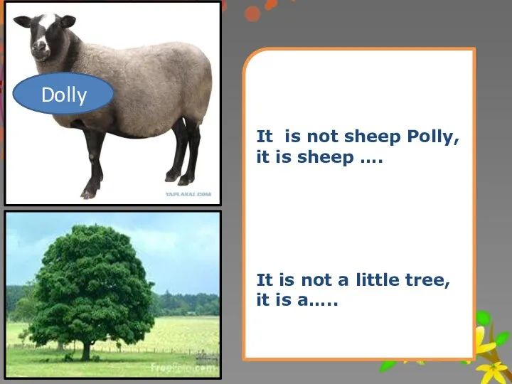 It is not sheep Polly, it is sheep …. It