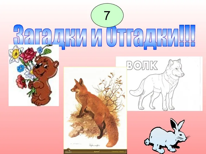 Загадки и Отгадки!!! 7