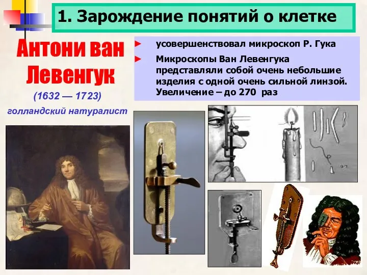 1. Зарождение понятий о клетке Антони ван Левенгук (1632 —