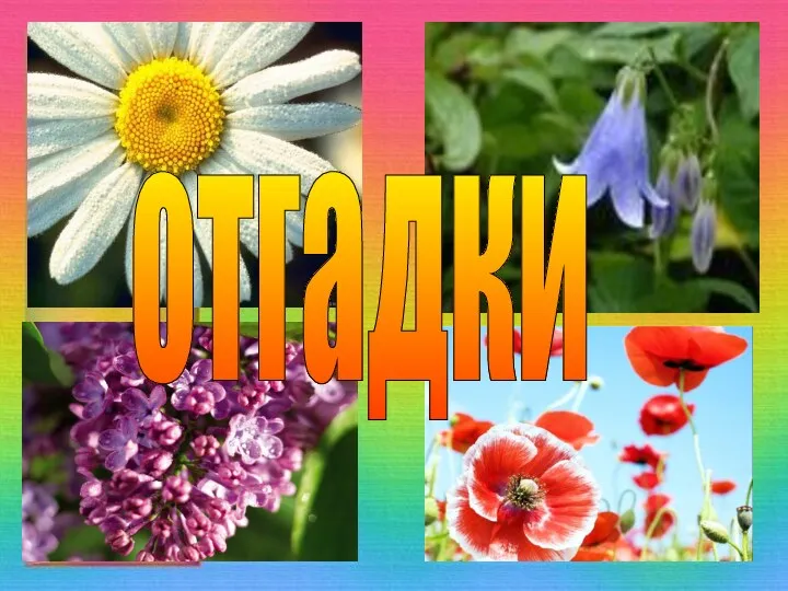 отгадки