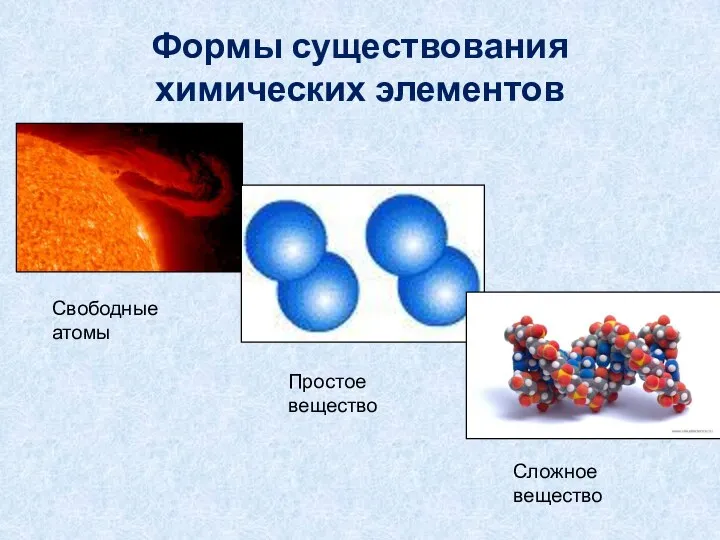 Формы существования химических элементов Свободные атомы Простое вещество Сложное вещество