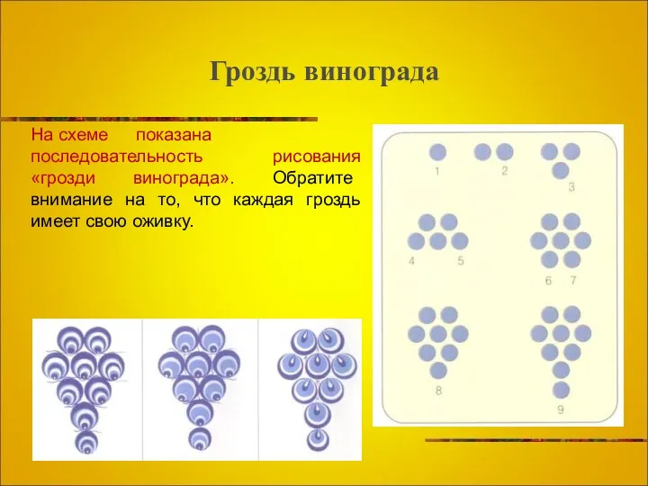 Гроздь винограда На схеме показана последовательность рисования «грозди винограда». Обратите внимание на то,