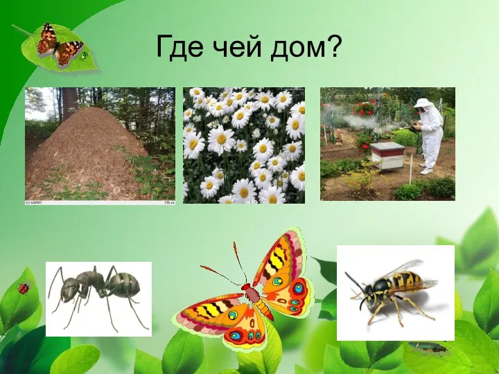 Где чей дом?