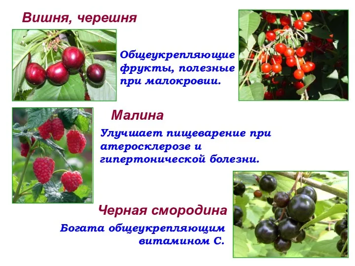 Вишня, черешня Общеукрепляющие фрукты, полезные при малокровии. Малина Улучшает пищеварение