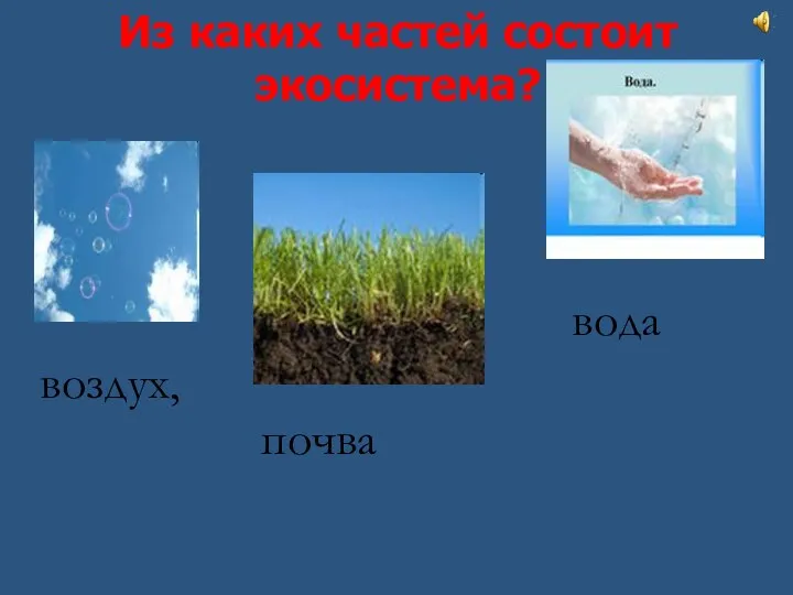 Из каких частей состоит экосистема? воздух, почва вода