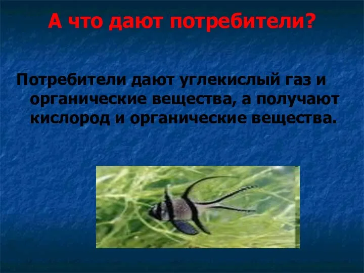 А что дают потребители? Потребители дают углекислый газ и органические вещества, а получают