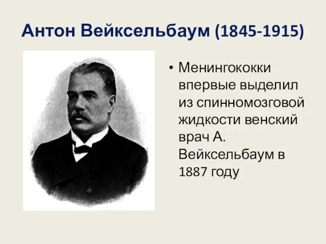 Антон Вейксельбаум (1845-1915) Менингококки впервые выделил из спинномозговой жидкости венский врач А. Вейксельбаум в 1887 году
