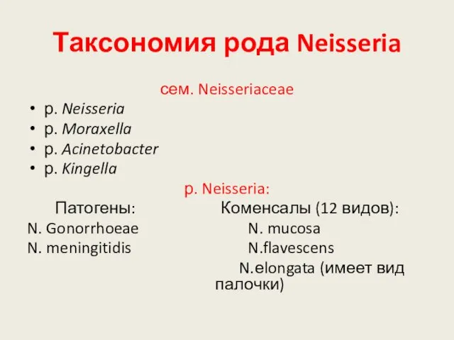 Таксономия рода Neisseria сем. Neisseriaceae р. Neisseria р. Moraxella р. Acinetobacter р. Kingella