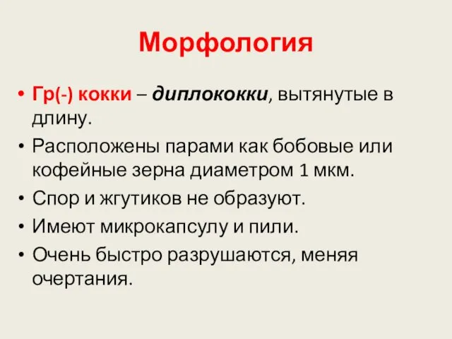 Морфология Гр(-) кокки – диплококки, вытянутые в длину. Расположены парами как бобовые или