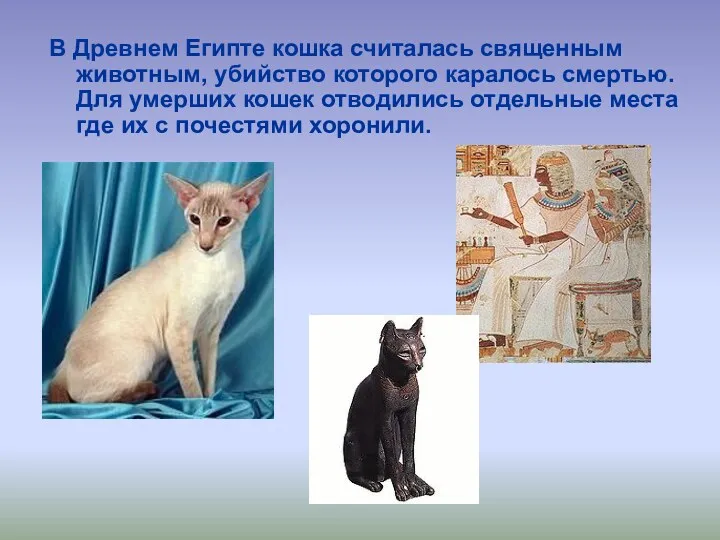 В Древнем Египте кошка считалась священным животным, убийство которого каралось смертью. Для умерших