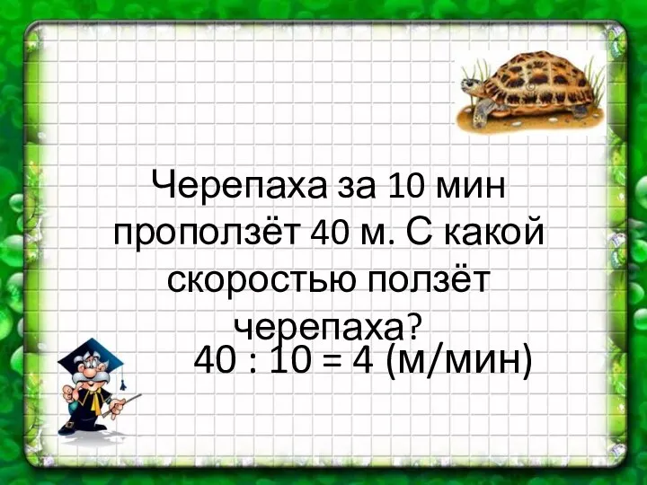 Черепаха за 10 мин проползёт 40 м. С какой скоростью ползёт черепаха? 40