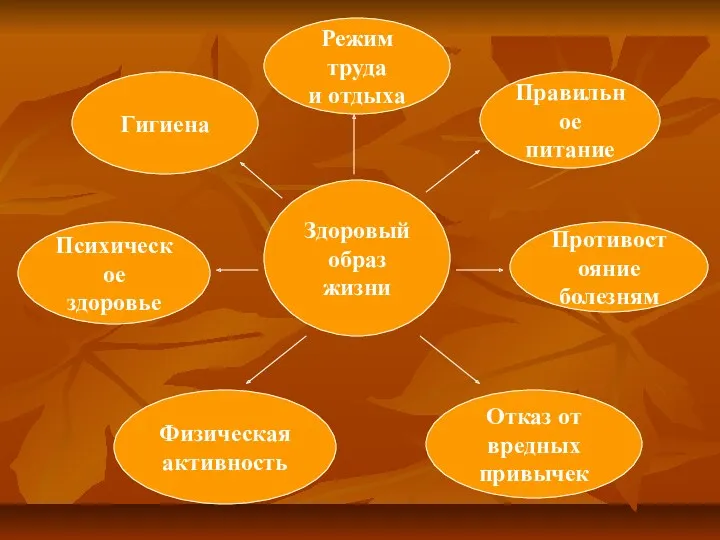 Здоровый образ жизни Режим труда и отдыха Гигиена Правильное питание