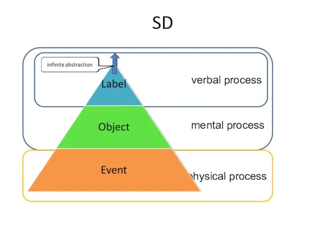 SD mental process physical process verbal process