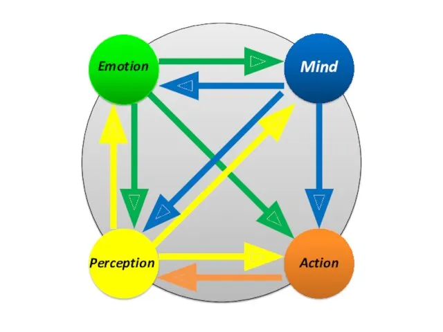 Perception Mind Action Emotion
