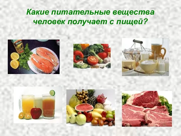 Какие питательные вещества человек получает с пищей?