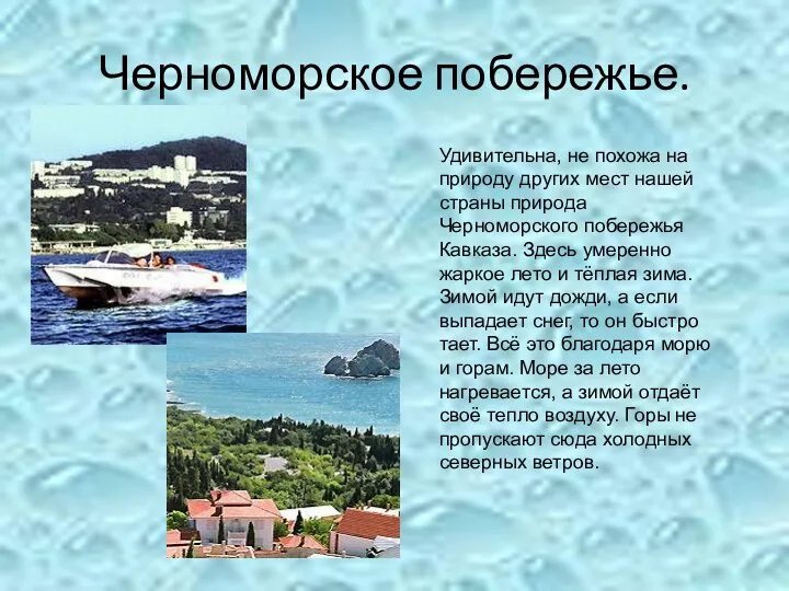 Черноморское побережье. Удивительна, не похожа на природу других мест нашей страны природа Черноморского