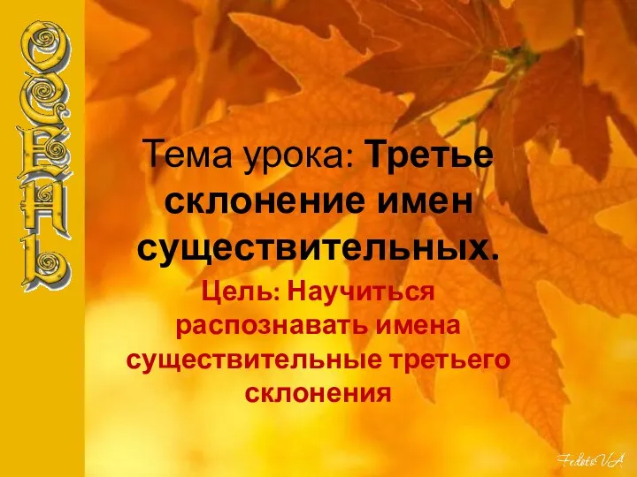 Тема урока: Третье склонение имен существительных. Цель: Научиться распознавать имена существительные третьего склонения