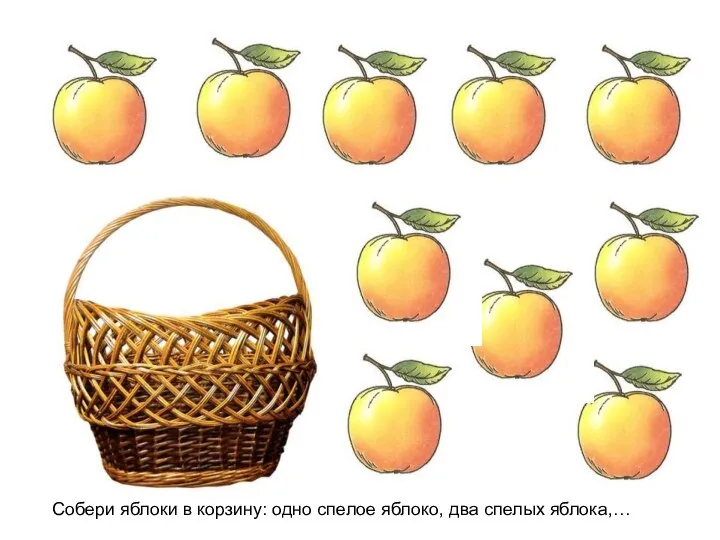 Собери яблоки в корзину: одно спелое яблоко, два спелых яблока,…