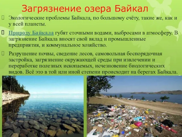 Загрязнение озера Байкал Экологические проблемы Байкала, по большому счёту, такие